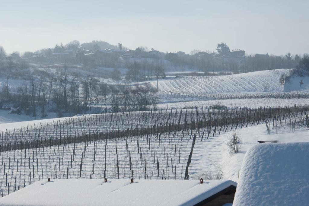 Tenuta Terensano Monleale エクステリア 写真