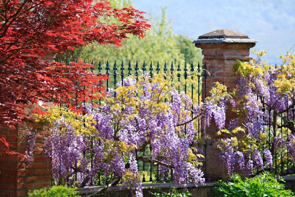 Tenuta Terensano Monleale エクステリア 写真